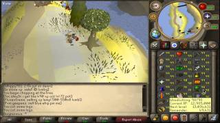 Soulsplit Rsps - Road to Maxed Cape (99 fish, wc, farm)