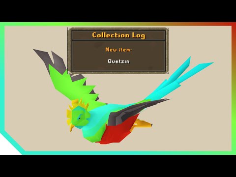 How to Get a Quetzal Pet in OSRS (Quetzin)