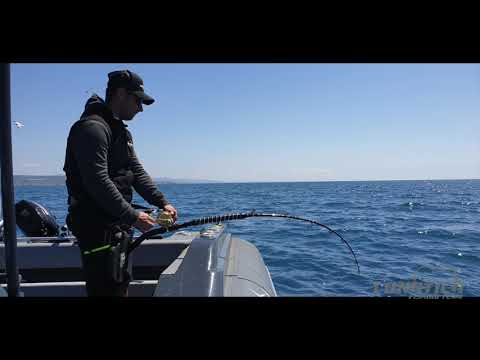Drifting Al Tonno Luglio 2018 Pesca Ladispoli Previsioni Meteo E