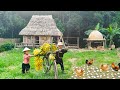 Dwarf Family Harvesting Bananas & Chicken Eggs | Primitive survival skills.