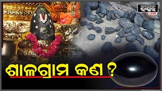 ପ୍ରକୃତରେ ଶାଳଗ୍ରାମ କିଏ , କଣ ରହିଛି ଏହା ପଛର ରହସ୍ୟ I ଆସନ୍ତୁ ଜାଣିବା ଏହି ରିପୋର୍ଟରେ