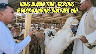 KANG ALMAN NGEDADAK BELI 5 EKOR KAMBING DI MAKKAH @AlmanMulyana1983