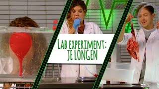 HOE WERKEN JE LONGEN? - LAB EXPERIMENT