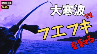 大寒波でもフエフキを釣る！  × 沖縄釣り × 北部 ＃355