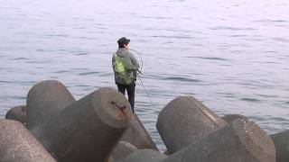 堤防先端テトラからルアーで青物回遊魚狙い　和歌山　釣太郎