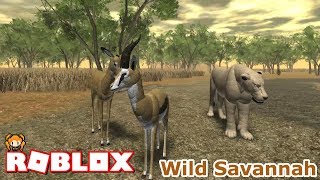Roblox Wild Savannah 2 A Day In The Life As A Stork Gazelle