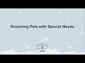 Grooming Special Needs Pets | PetSmart