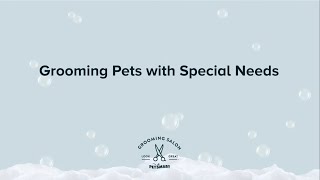 Grooming Special Needs Pets | PetSmart