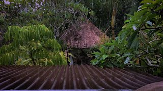 Go to Sleep Instantly with Heavy Rain Sounds on Tin Roof | Bali Rainstorm for Sleeping & Insomnia