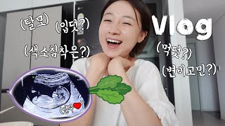 입덧지옥이 열렸습니다.. 속에서 전쟁 치르는 임신초기와 열무의 모습까지:)