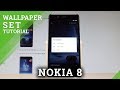 How to Change Wallpaper on NOKIA 8 - Set Up Home Screen and Lock Screen Wallpaper