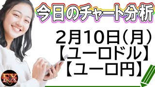 【FX最新予想】2月10日ユーロドル・ユーロ円相場チャート分析【海外FX投資】