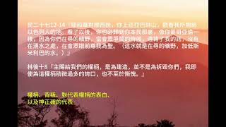 權柄、背叛、對代表權柄的表白、以及神正確的代表