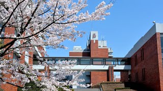 東京薬科大学 新入生ガイダンス／入学式 ダイジェスト（2021/04/02.03.05）