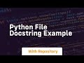 python file docstring example