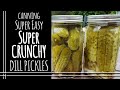 Super CRUNCHY Dill Pickles