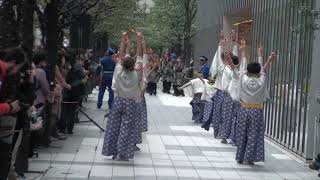 よさこい夢人～むじん～【2019お台場ドリームよさこい　秋葉原会場】