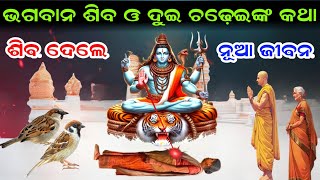 ଭଗବାନ ଶିବ ଓ ଦୁଇ ଚଢ଼େଇଙ୍କ କଥା || ଭଗବାନ ଶିବ କାହିଁକି ବୁଢ଼ୀ ମାକୁ ନୂଆ ଜୀବନ ଦେଲେ || Odia Story