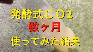 【アクアリウム 熱帯魚】発酵式ＣＯ2使ってみた感想