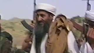 What do captured al Qaeda documents reveal?