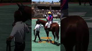 今村聖奈　ﾒｲｼｮｳｷﾞｼｵｰ号　ﾊﾟﾄﾞｯｸ風景①（20230702中京競馬6R）