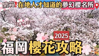 2025福岡賞櫻懶人包🌸 | 秘景賞櫻地櫻花散步 | 夢幻滿開櫻絕景 | 在地人推薦賞櫻一日遊