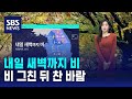 [날씨] 내일 새벽까지 비…비 그친 뒤 찬 바람 / SBS