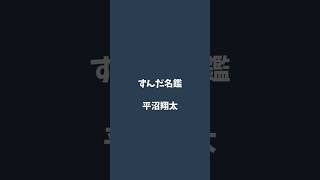 平沼翔太について解説するのだ   #ずんだ名鑑