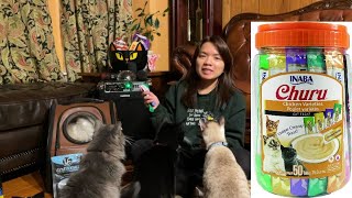 The Best Cats Treats | Churu: Lickable Squeezable Creamy Purée - With Anisa Ivan Chief Mila \u0026 Bella