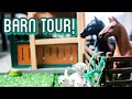 Barn Tour! - August 2023 - |Phoenix Stables