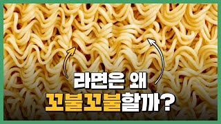 라면은 왜 꼬불꼬불할까? | 라벨털이 EP. 3