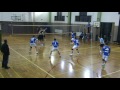 pro volley calcit volleyball ii highlights