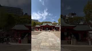 生田神社参拝動画♪