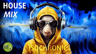Peak Focus for Complex Tasks House Study Music (Aardvark Mix) with Isochronic To