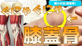 【膝のお皿をとことん緩めてみた】ひざ痛の主因「膝蓋骨」をやっつける!!#patella#家で一緒にやってみよう《東京ひざ痛専門整体院 京四郎-KYOSIRO-》