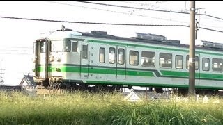 ネタ満載の115系L1編成　信越本線　422M　JR東日本新潟車両センター