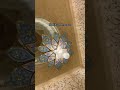 beautiful mosques around the world travel ytshorts greatmosque grandmosque