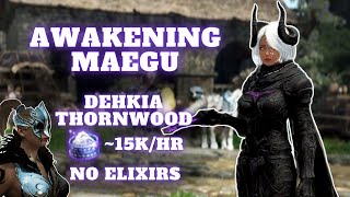 Awakening Maegu at Dehkia Thornwood - How is it? [Black Desert Online]