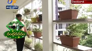 Nandana Vanam | This Vijayawada Couple Made their Home Green | A Story