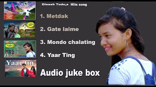 new santhali song //dinesh tudu hits song// Audio juke box// stephan tudu// dhani marandi