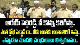 అరేయ్ పెద్దిరెడ్డి, నీ కొవ్వు కరిగిస్తా.. ఎంత క్షోభ పెట్టావ్ రా... నీకు అంతకు అంతా తిరిగి ఇస్తా..