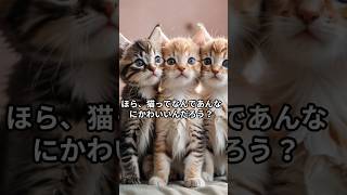 にゃんこ好き必見！ねこのヒゲって【雑学】 #猫 #ねこ #雑学 #shorts #cat #子猫