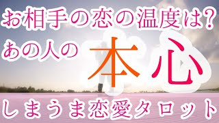 お相手の恋の温度は？　あの人の本心を、カードで探っていきます【恋愛タロット占い・カードリーディング】