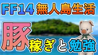 【FF14】ぶた、青船貨稼ぎ\u0026お勉強回！(第11期サイクル5~7考察)【無人島開拓58日目】