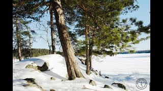 Winter wilderness in Orivesi, Finland