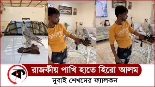 হিরো আলমের হাতে দুবাই শেখদের রাজকীয় পাখি | Hero Alom | Falcon | Kalbela