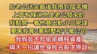 給老公送完飯後我撿到個手機，上面有條消息是老公發來的，我點開一看他竟出軌小三密謀，要害我奪3套別墅和千萬公司，我假裝不知偷偷轉移資產，隔天一招讓他身敗名裂求原諒