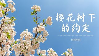 柯柯柯啊《樱花树下的约定》 -1小时连播版-老歌新唱-『动态歌词 』| Tiktok China Music | Douyin Music |