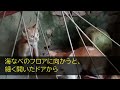 【感動する話】独身漁師の俺。母親のボロ民宿に女性が訪れ「泊めさせてください」廃業したので住み込みの食事付きでウチで住むかと提案したら思わぬ展開に