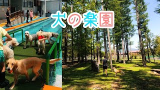 富士山目の前！ドッグリゾート WOOF ワフ で1泊してみたよレポ。